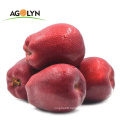 full-red skin fresh red  Huaniu Apple fruit